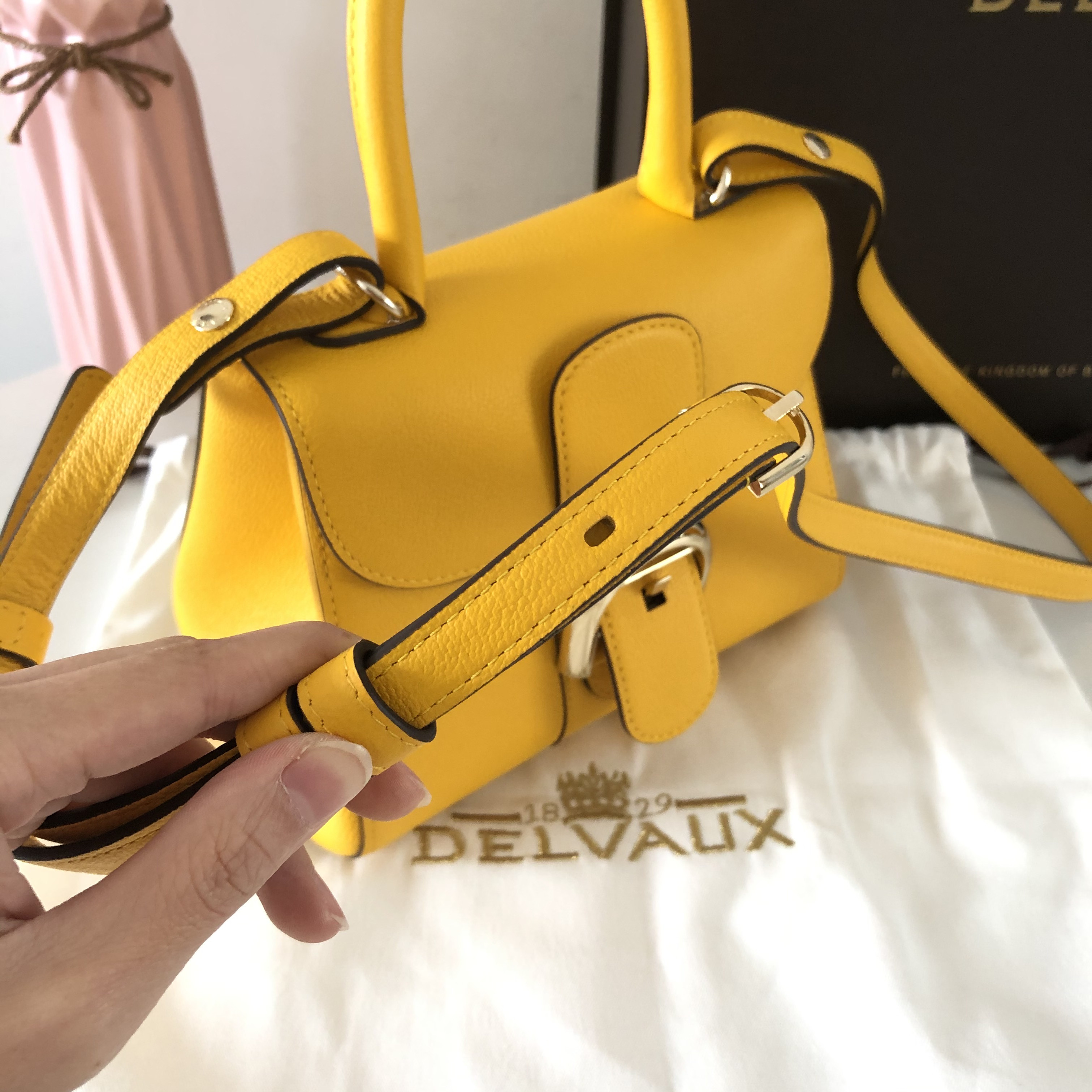 델보 브리앙 엘로우 미니 토트백